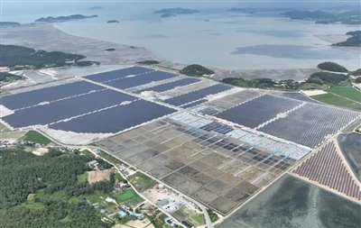 Esmeralda Seven Solar Projesi: ABD Nevada Onayını İptal Etti